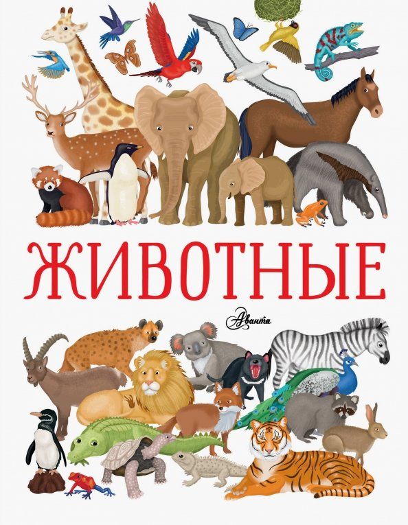 Обложка книги "Иллария Барсотти: Животные"
