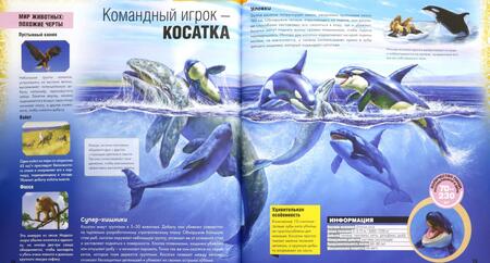Фотография книги "Илона Баголи: Грозные охотники"
