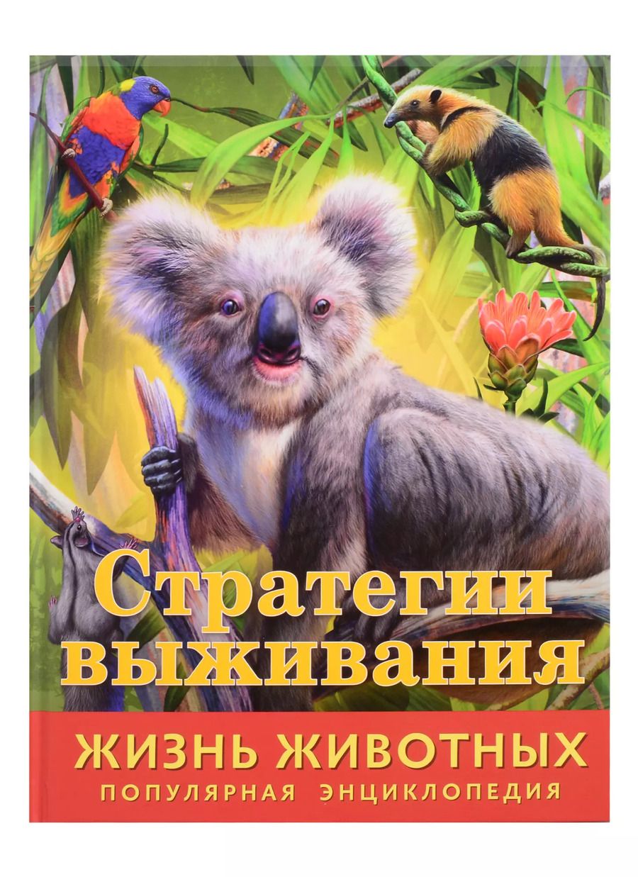 Обложка книги "Илона Баголи: Стратегии выживания"