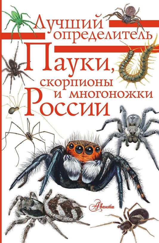 Обложка книги "Илья Алексеевич: Пауки, скорпионы и многоножки России"