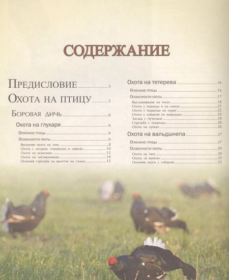 Фотография книги "Илья Гусев: Большая энциклопедия охоты"