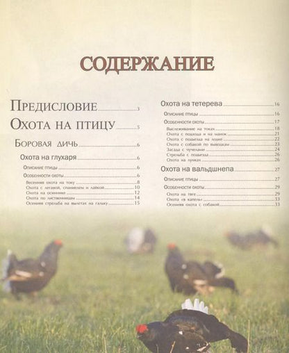 Фотография книги "Илья Гусев: Большая энциклопедия охоты"