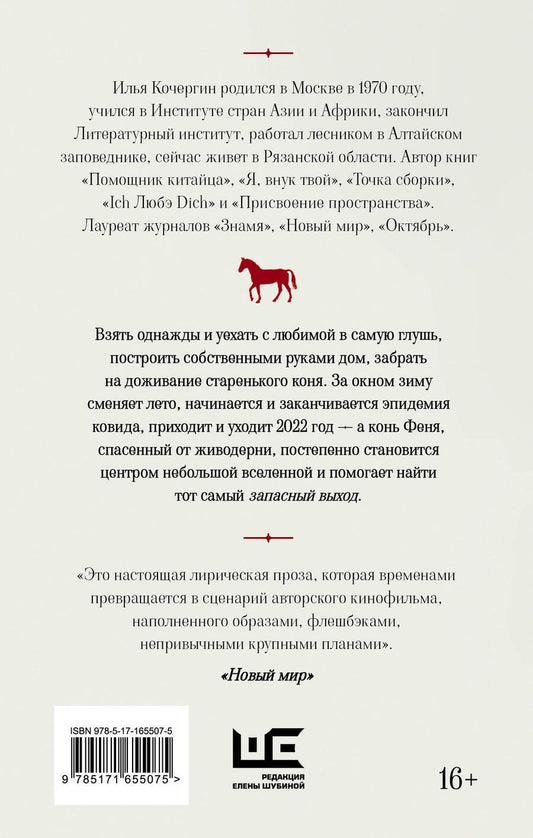 Обложка книги "Илья Кочергин: Запасный выход"