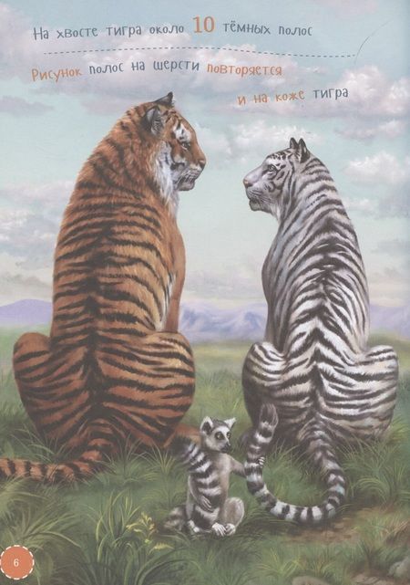 Фотография книги "Илья Лагутенко: Я Тигр"