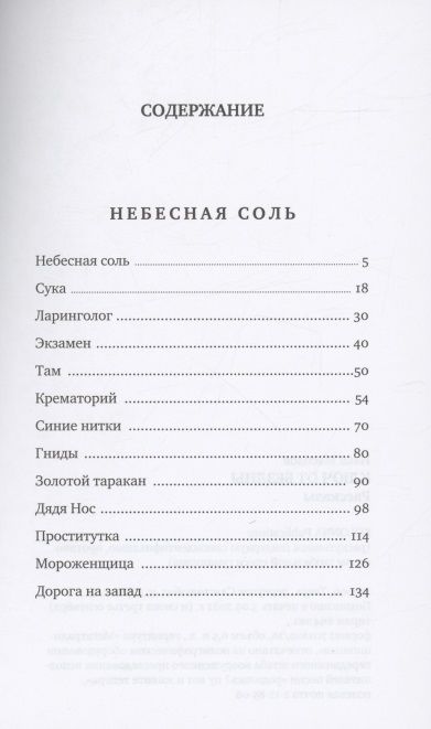 Фотография книги "Илья Масодов: Небесная соль"