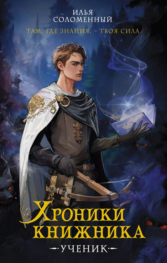 Обложка книги "Илья Соломенный: Хроники книжника. Ученик. Книга 1"