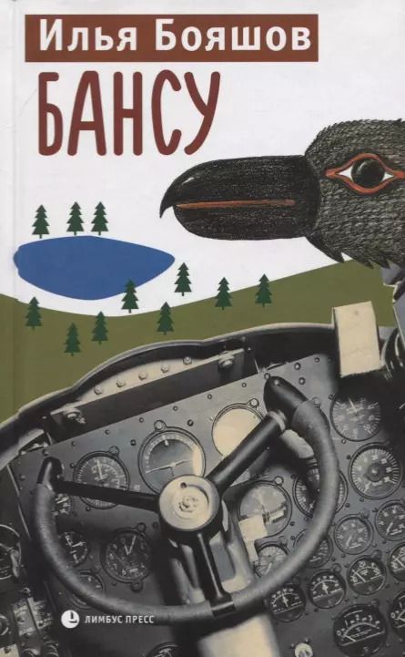 Обложка книги "Илья Владимирович: БАНСУ"