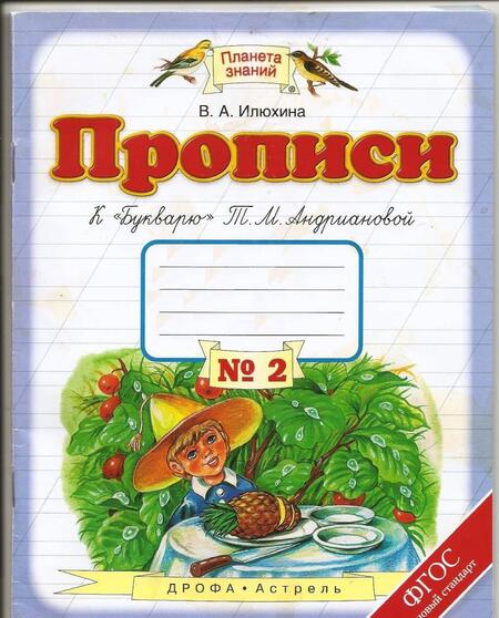 Фотография книги "Илюхина: Прописи. 1 класс.  Тетрадь №2 к "Букварю" Т. М. Андриановой. В 4-х частях. ФГОС"