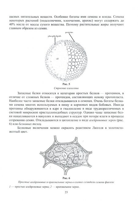 Фотография книги "Имескенова, Татарникова: Ботаника. Учебное пособие для вузов"