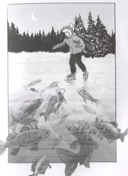 Фотография книги "Инна Манахова: Театр теней"