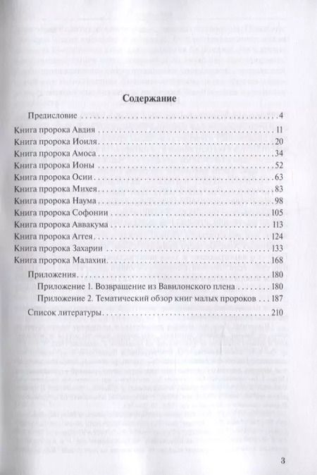 Фотография книги "Иоанн Протодиакон: Писания малых пророков. Учебное пособие"