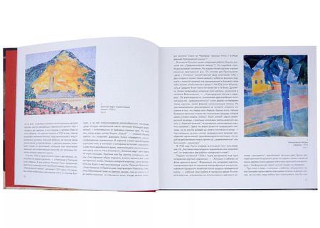 Фотография книги "Ионин Николай"