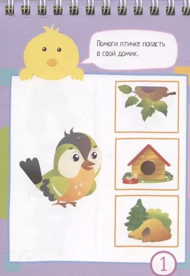 Фотография книги "IQ блокнот. 80 задачек для самых сообразительных"