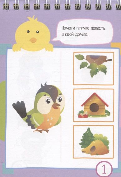 Фотография книги "IQ блокнот. 80 задачек для самых сообразительных"