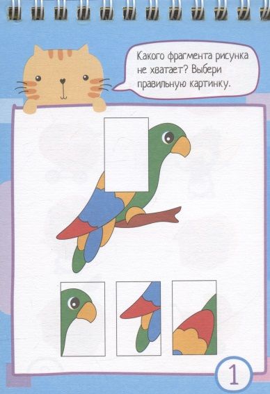 Фотография книги "IQ блокнот. 80 задачек на смекалку"