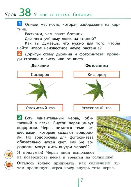 Фотография книги "Ирина Андржеевская: Окружающий мир. 3 класс. Классная тетрадь. Часть 2"