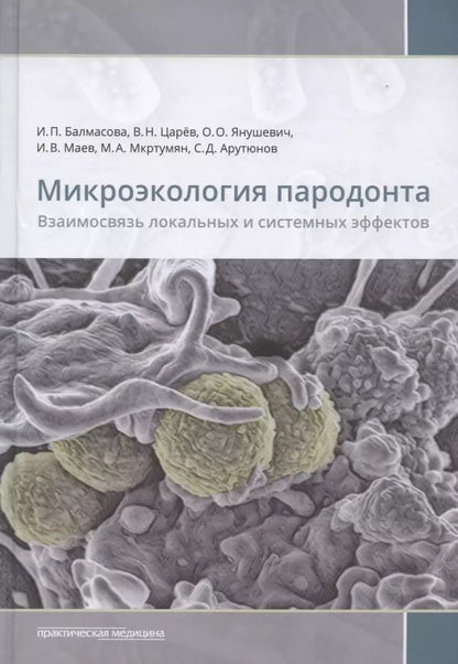 Обложка книги "Ирина Балмасова: Микроэкология пародонта. Взаимосвязь локальных и системных эффектов"