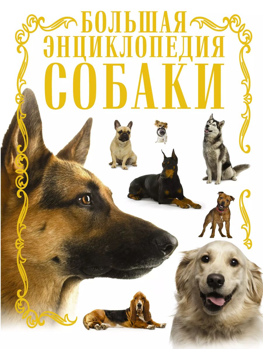 Обложка книги "Ирина Барановская: Собаки. Большая энциклопедия"