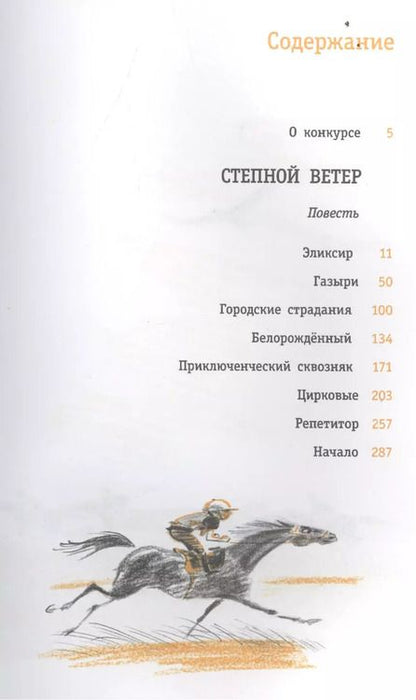 Фотография книги "Ирина Дегтярева: Степной ветер"