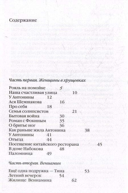 Фотография книги "Ирина Дудина: Нежные и надломленные. Роман"