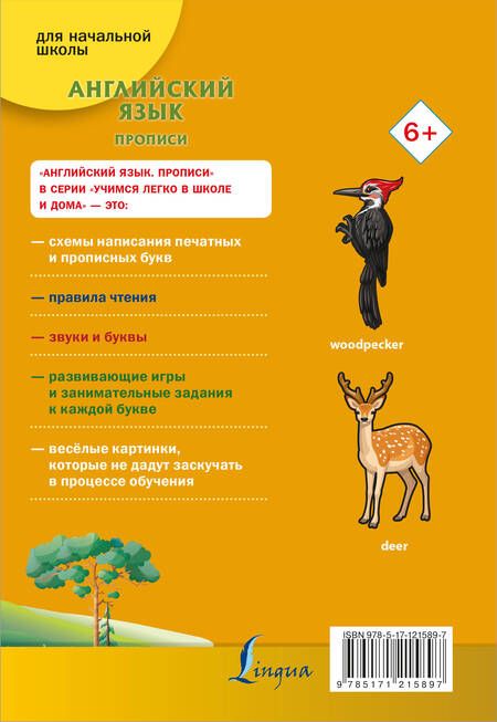 Фотография книги "Ирина Френк: Английский язык. Прописи"