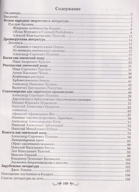 Фотография книги "Ирина Георгиевна: Русская литература. 6 класс. Рабочая тетрадь"