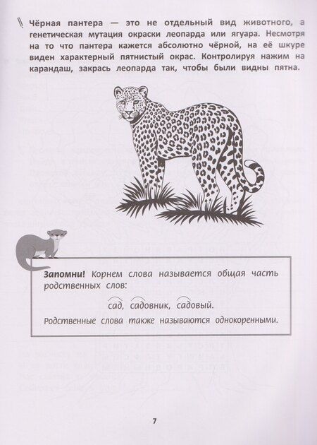 Фотография книги "Ирина Игоревна: Грамотное письмо: развитие орфографического навыка: 3 класс"