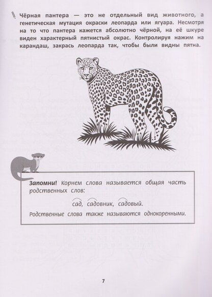 Фотография книги "Ирина Игоревна: Грамотное письмо: развитие орфографического навыка: 3 класс"