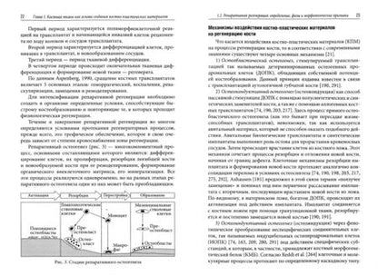 Фотография книги "Ирина Кирилова: Анатомо-функциональные св-ва кости как основа создания костно-пластических матер. для травматологии"