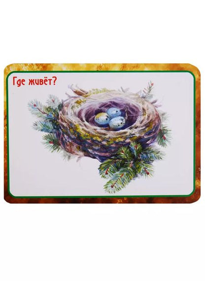 Фотография книги "Ирина Медеева: Кто где живет Кто что ест 36 карт. Полезные карточки с рекоменд. для взрослых (3+) (картон) (коробка"