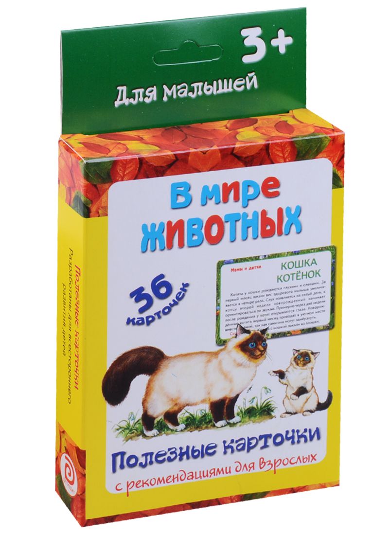 Обложка книги "Ирина Медеева: В мире животных"