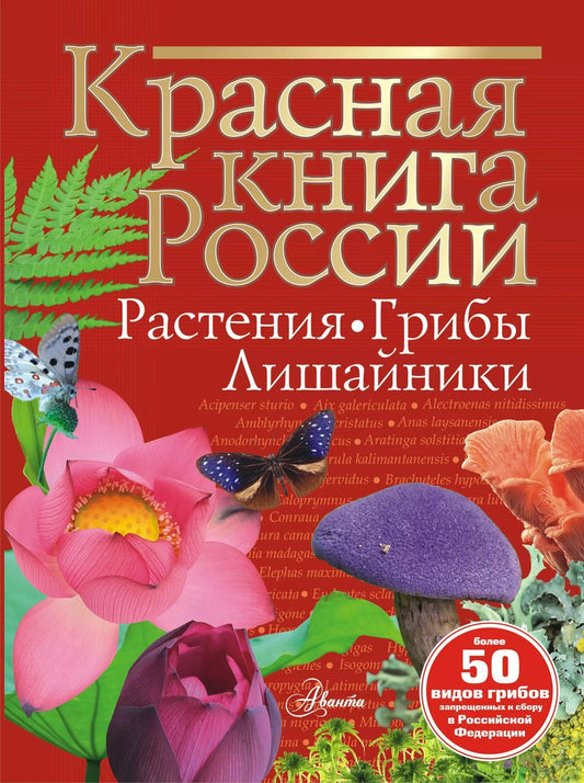 Обложка книги "Ирина Пескова: Красная книга России. Растения. Грибы. Лишайники"