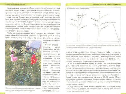 Фотография книги "Ирина Пескова: Обрезка плодовых деревьев и кустарников"