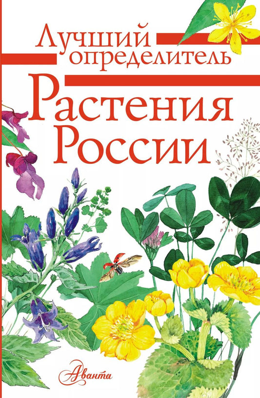 Обложка книги "Ирина Пескова: Растения России"