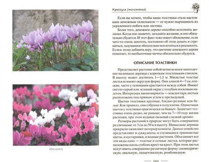 Фотография книги "Ирина Пигулевская: Лечебные комнатные растения. ТОП-20 лекарей с вашего подоконника"