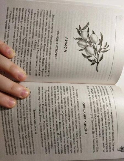 Фотография книги "Ирина Пигулевская: Лечебные комнатные растения. ТОП-20 лекарей с вашего подоконника"