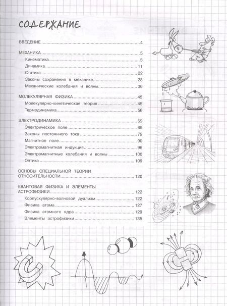 Фотография книги "Ирина Попова: Наглядная физика"