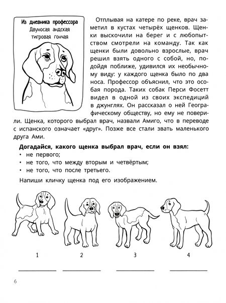 Фотография книги "Ирина Праведникова: Развитие мышления и внимания у младших школьников"