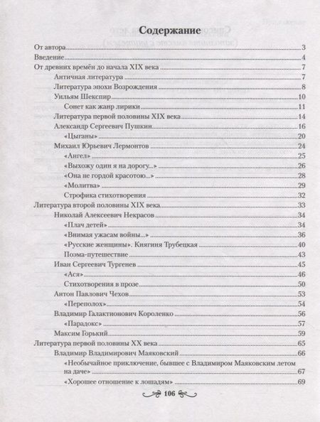 Фотография книги "Ирина Савкина: Русская литература. 8 класс. Рабочая тетрадь"