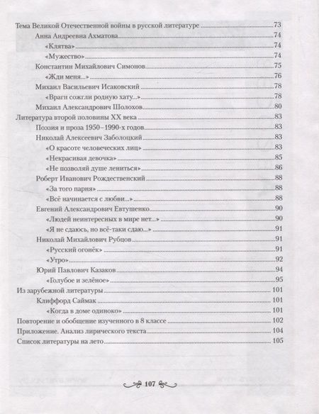 Фотография книги "Ирина Савкина: Русская литература. 8 класс. Рабочая тетрадь"