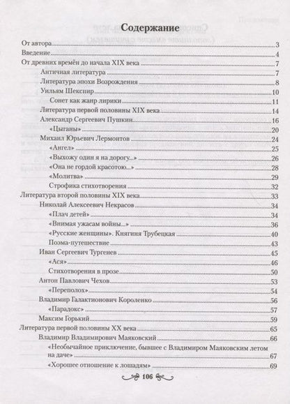 Фотография книги "Ирина Савкина: Русская литература. 8 класс. Рабочая тетрадь"