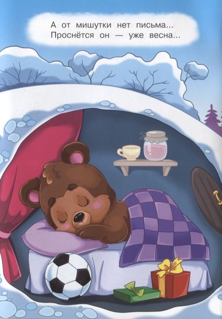 Фотография книги "Ирина Шестакова: Дед Мороз и Снегурочка"