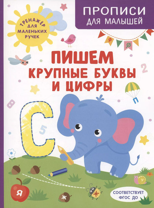 Обложка книги "Ирина Шестакова: Пишем крупные буквы и цифры"