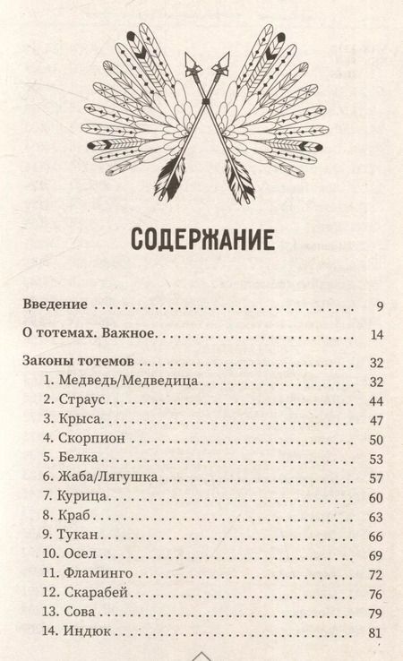 Фотография книги "Ирина Шишкина: Большая книга законов тотемов"