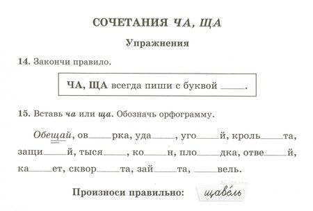 Фотография книги "Ирина Стронская: Русский язык. 1 класс. ФГОС"