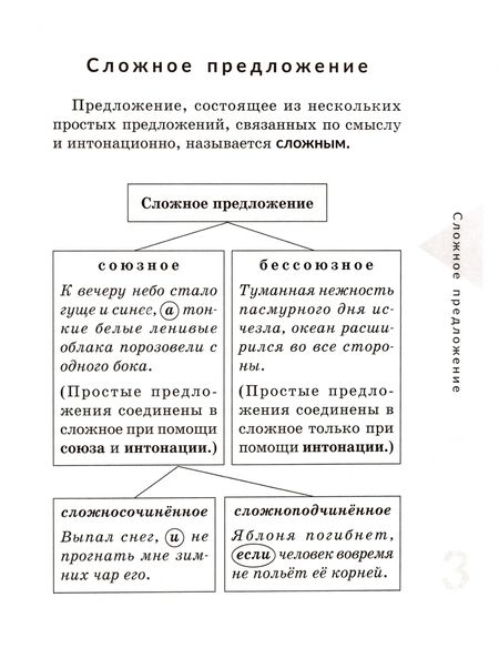 Фотография книги "Ирина Стронская: Сложносочиненное предложение"