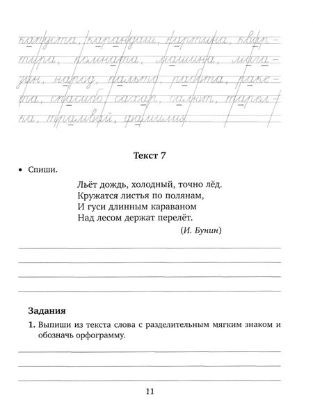 Фотография книги "Ирина Стронская: Закрепляем навыки грамотного письма. Контрольное списывание. Чистописание. Тексты для изложений"