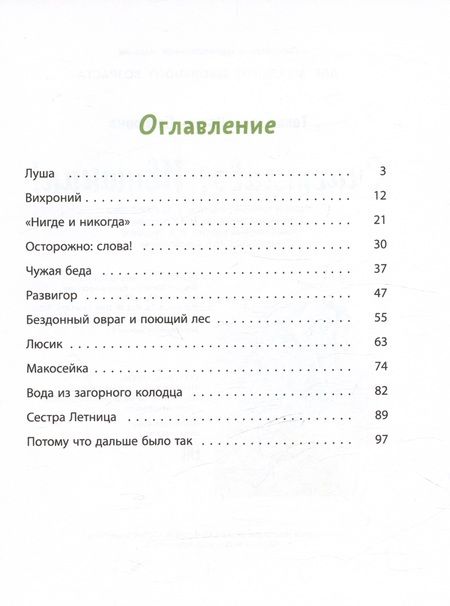 Фотография книги "Ирина Токмакова: Счастливо, Ивушкин!"