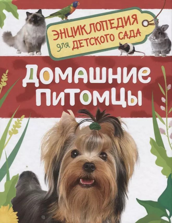Обложка книги "Ирина Травина: Домашние питомцы. Энциклопедия для детского сада"