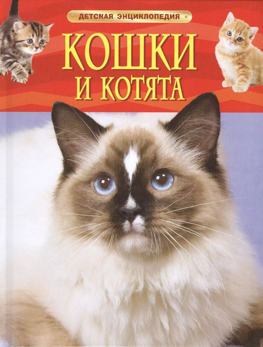 Обложка книги "Ирина Травина: Кошки и котята. Детская энциклопедия"